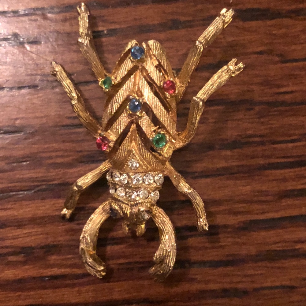 Beetle brooch